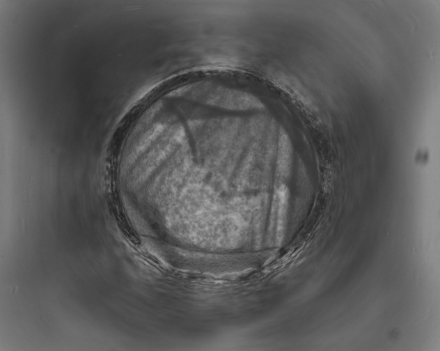 X0000093731208200711060953