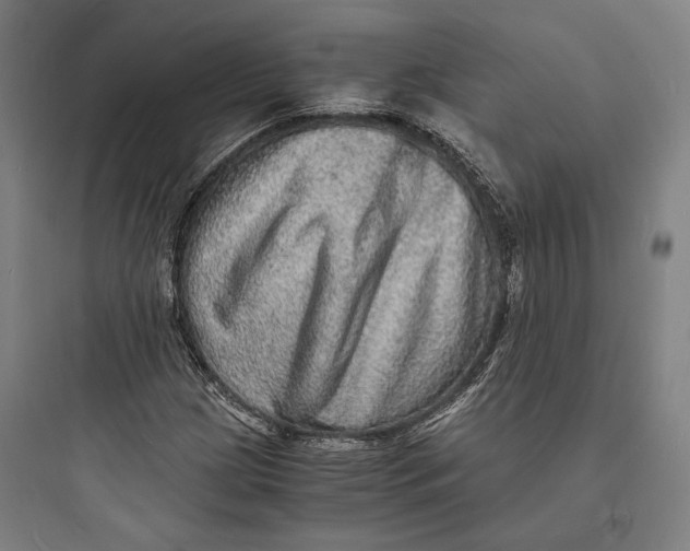 X0000093731209200711060953