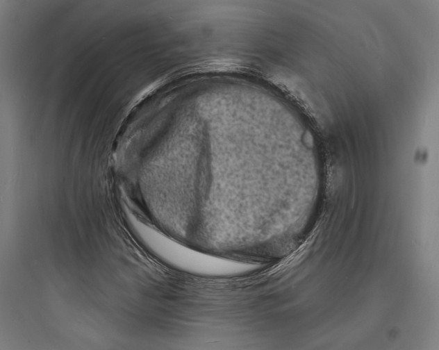 X0000093731210200711060953