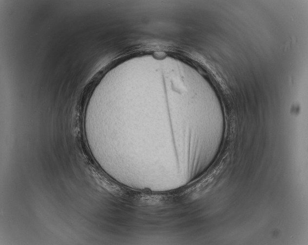 X0000093731211200711060953