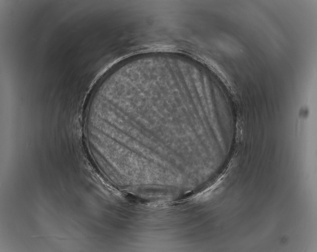 X0000093731212200711060953