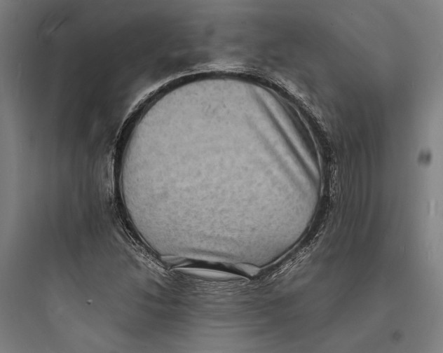 X0000093731214200711060953