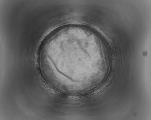 X0000093731215200711060953