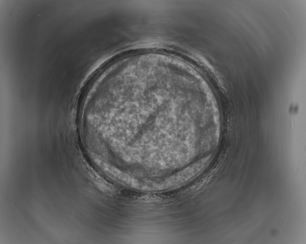 X0000093731216200711060953