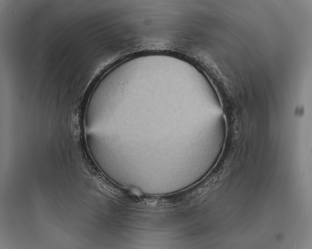 X0000093731218200711060953