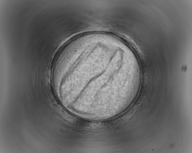 X0000093731220200711060953