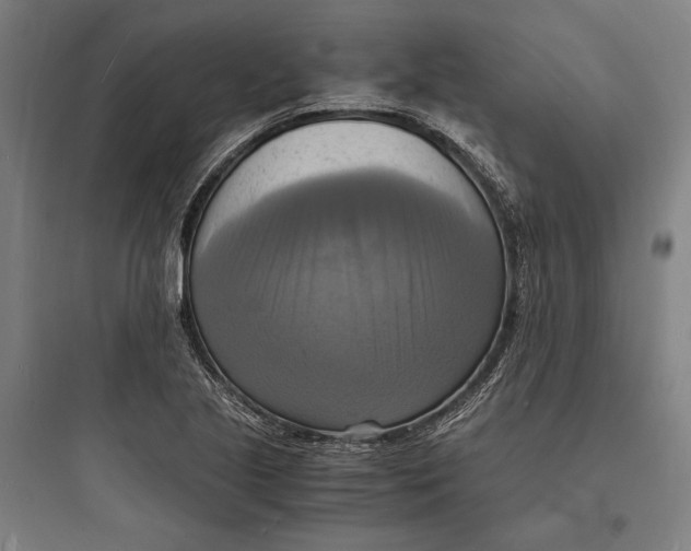 X0000093731221200711060953