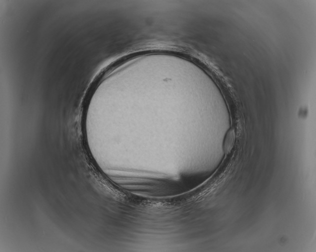 X0000093731222200711060953