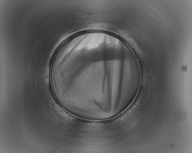 X0000093731224200711060953