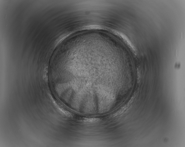 X0000093731225200711060953