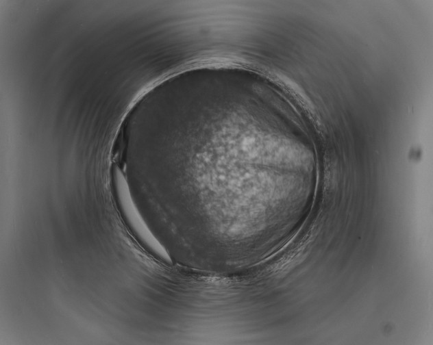 X0000093731226200711060953