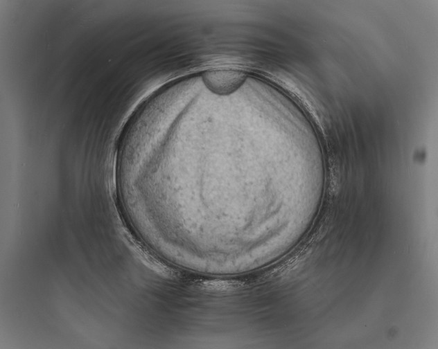 X0000093731227200711060953