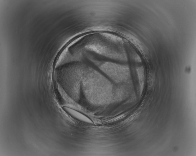 X0000093731228200711060953