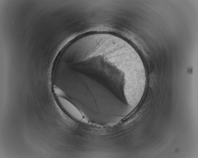 X0000093731229200711060953