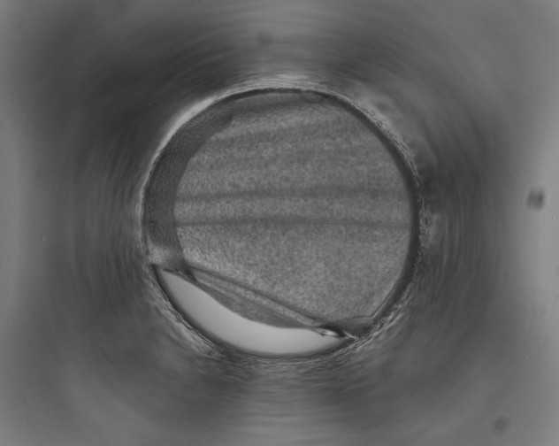 X0000093731230200711060953