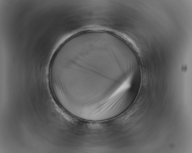 X0000093731231200711060953