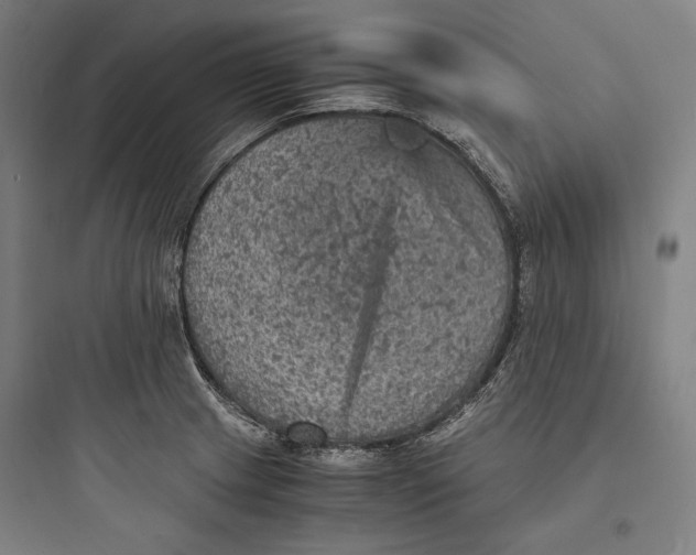 X0000093731233200711060953