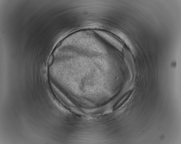 X0000093731234200711060953