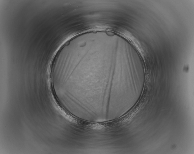 X0000093731235200711060953