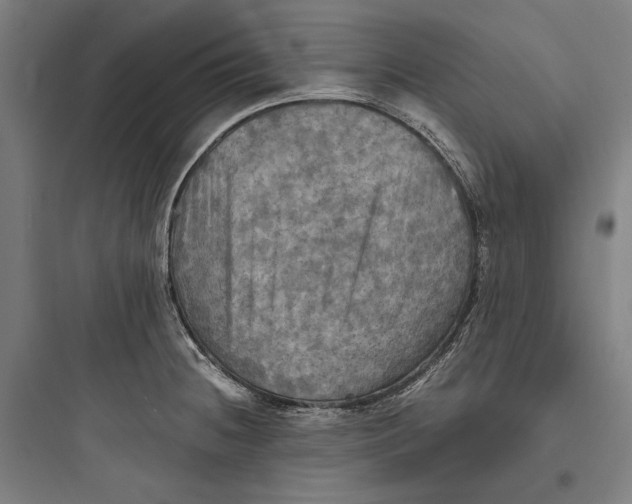 X0000093731236200711060953