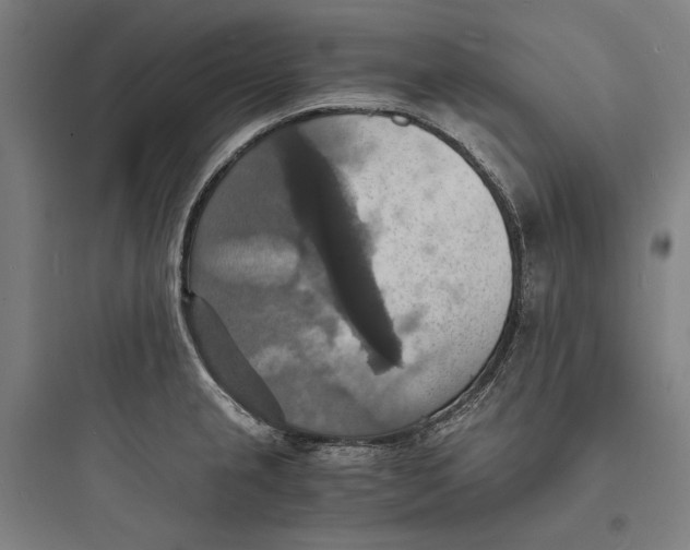 X0000093731237200711060953