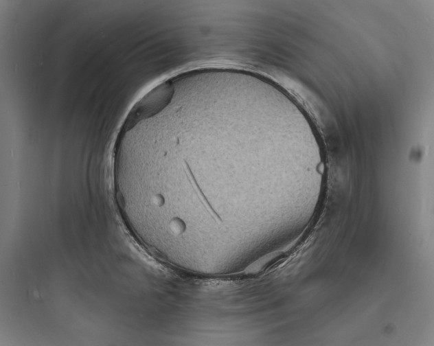 X0000093731238200711060953