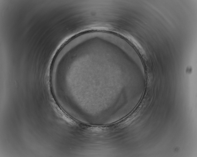 X0000093731240200711060953