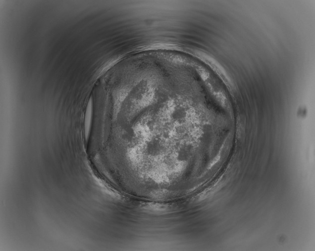 X0000093731241200711060953