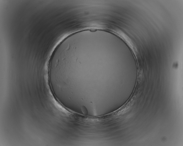 X0000093731243200711060953