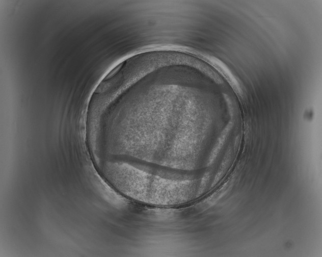 X0000093731244200711060953