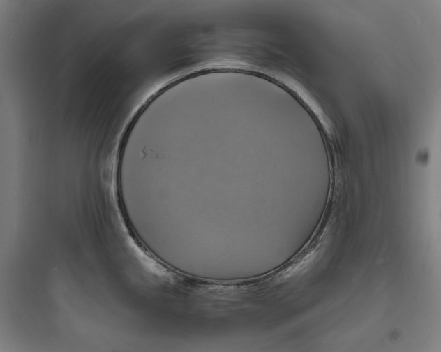 X0000093731245200711060953