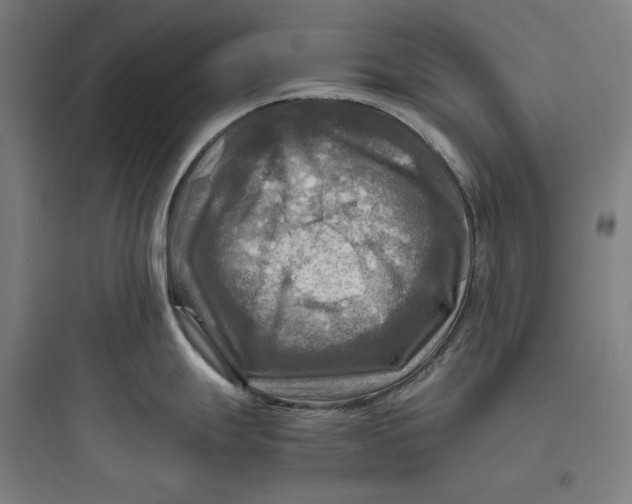 X0000093731247200711060953