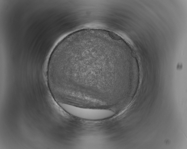 X0000093731248200711060953