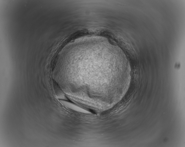 X0000093731249200711060953