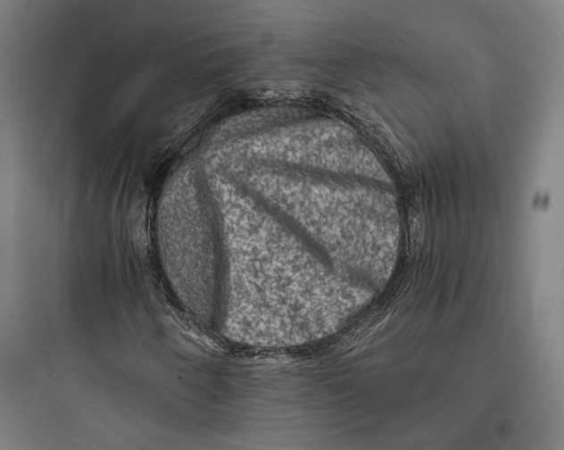 X0000093731250200711060953