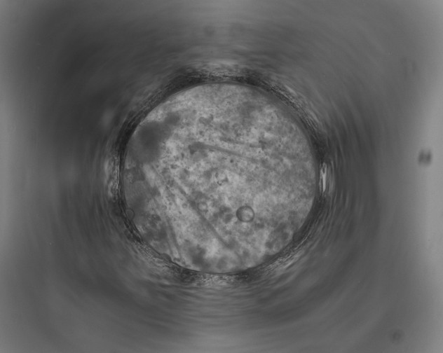 X0000093731251200711060953