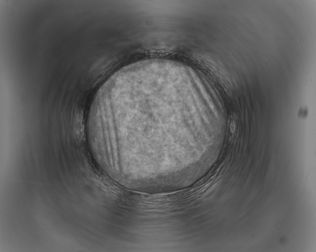 X0000093731252200711060953