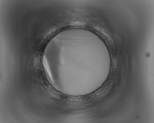 X0000093731254200711060953