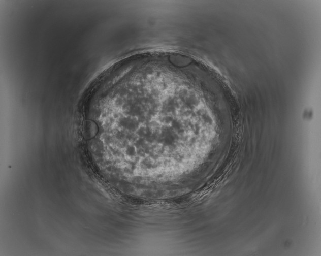 X0000093731255200711060953