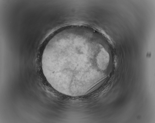 X0000093731256200711060953