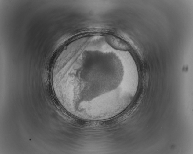 X0000093731259200711060952