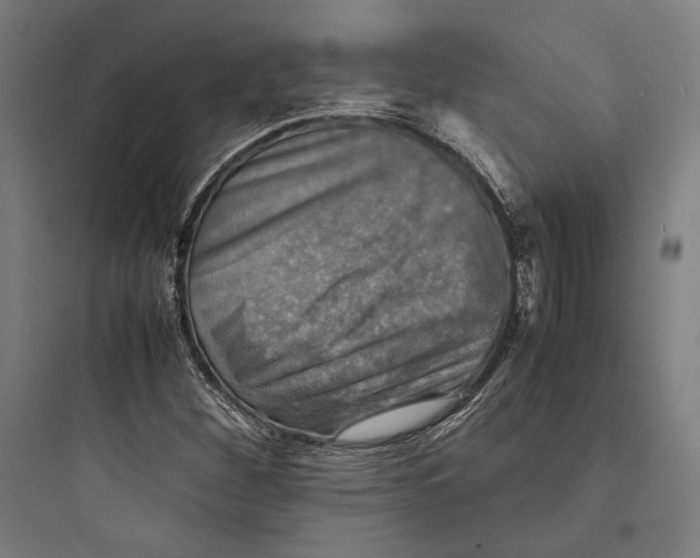 X0000093731260200711060952