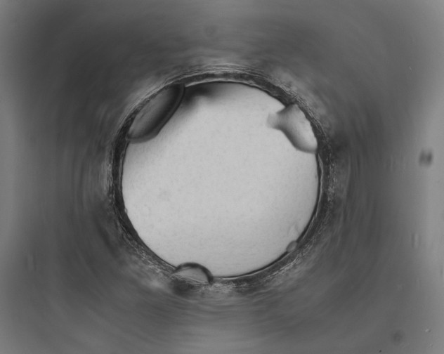 X0000093731261200711060952