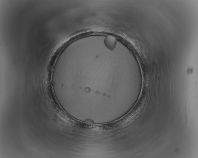 X0000093731263200711060952