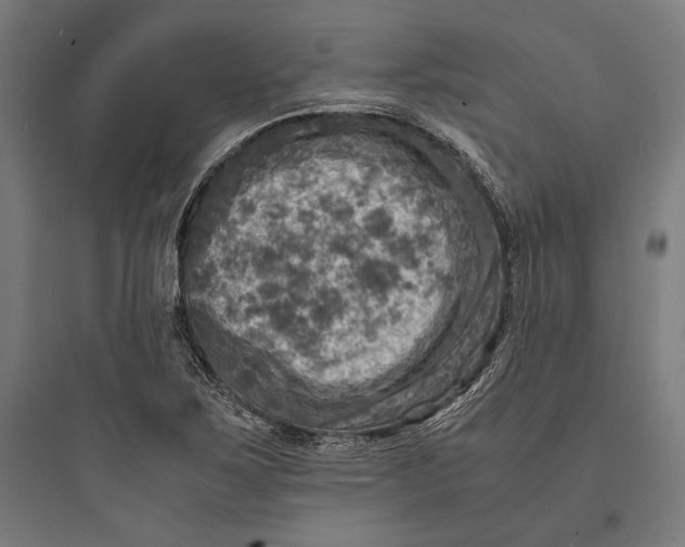 X0000093731267200711060952