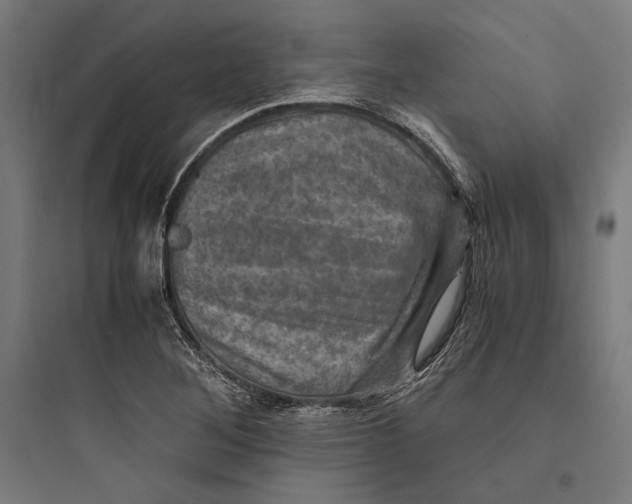 X0000093731268200711060952