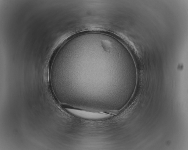 X0000093731269200711060952