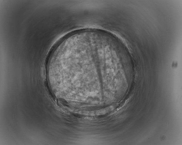 X0000093731271200711060952