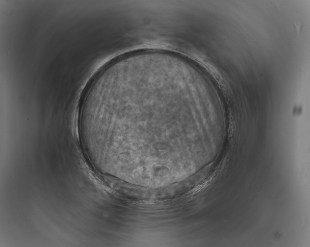 X0000093731272200711060952