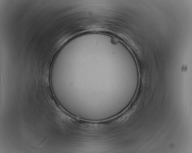 X0000093731273200711060952